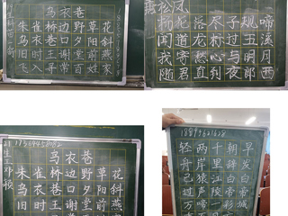 生命科学学院举办第一届粉笔字比赛