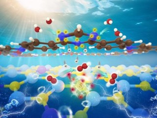 代凯教授团队在国际顶刊《Advanced Materials》发表高水平研究成果